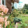 Valmiera, Kauguru pagasts, Miegupīte