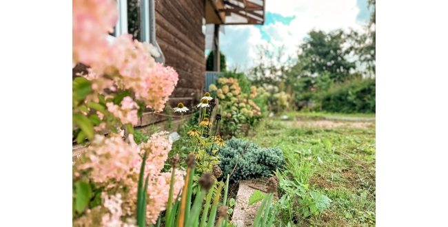 Valmiera, Kauguru pagasts, Miegupīte