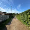 Limbažu nov., Tūja, Priežu