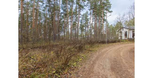 Rīga, Berģi, Griezes