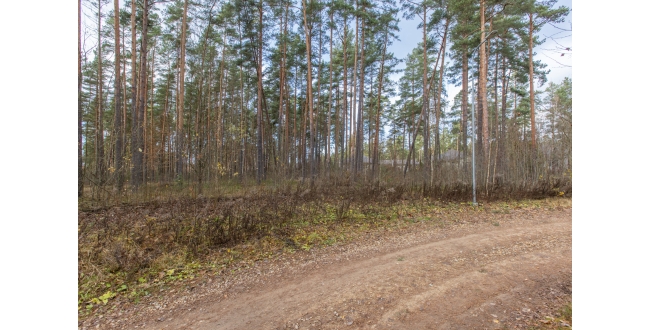 Rīga, Berģi, Griezes