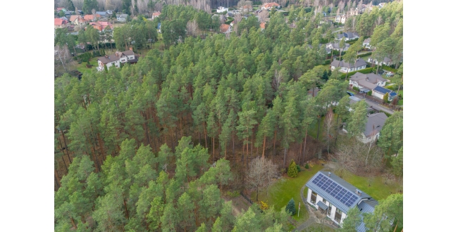 Rīga, Berģi, Griezes