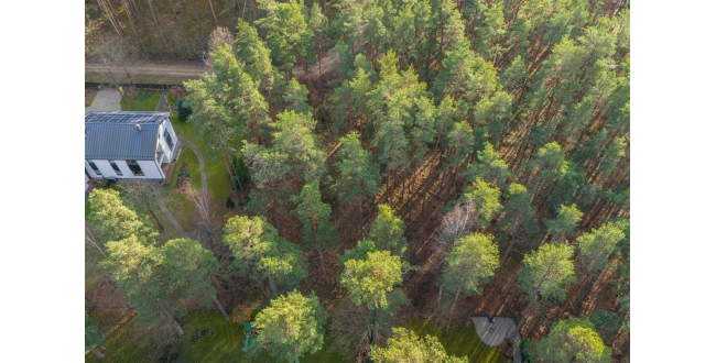 Rīga, Berģi, Griezes