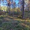 Engures nov., Lapmežciems, Niedru