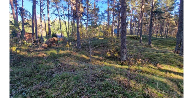 Engures nov., Lapmežciems, Niedru