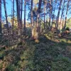 Engures nov., Lapmežciems, Niedru