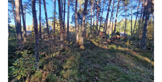 Engures nov., Lapmežciems, Niedru