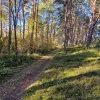 Engures nov., Lapmežciems, Niedru