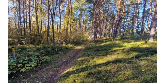 Engures nov., Lapmežciems, Niedru