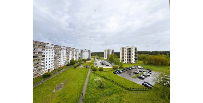 Rīga, Pļavnieki, Salnas
