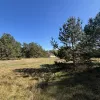 Talsu nov., Kolkas pag., Priedītes