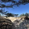 Talsu nov., Kolkas pag., Priedītes