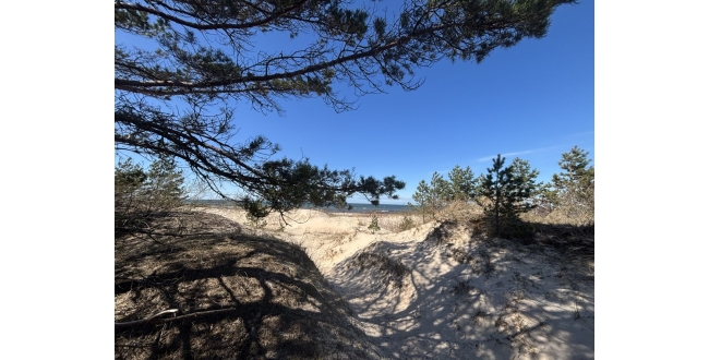 Talsu nov., Kolkas pag., Priedītes