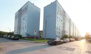 Rīga, Pļavnieki, Salnas