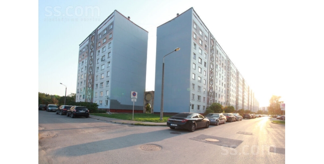 Rīga, Pļavnieki, Salnas