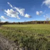 Ādažu nov., Iļķene, Staltbrieži