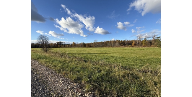 Ādažu nov., Iļķene, Staltbrieži