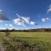 Ādažu nov., Iļķene, Staltbrieži