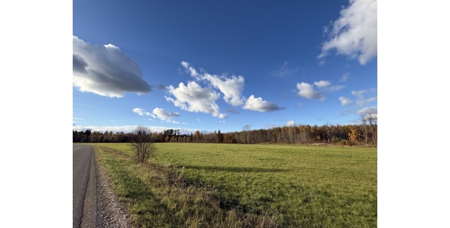 Ādažu nov., Iļķene, Staltbrieži