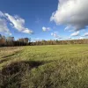Ādažu nov., Iļķene, Staltbrieži