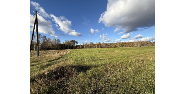 Ādažu nov., Iļķene, Staltbrieži