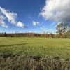 Ādažu nov., Iļķene, Staltbrieži