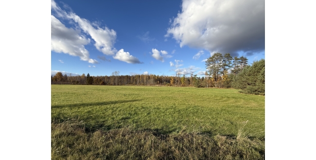 Ādažu nov., Iļķene, Staltbrieži