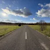 Ādažu nov., Iļķene, Staltbrieži