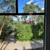Garkalnes nov., Priedkalne, Liedaga
