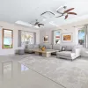 , , 