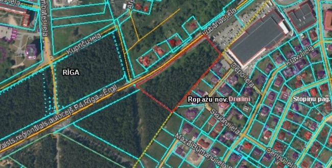 Rīga, Pļavnieki, Lubānas