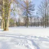 Ādažu nov., Iļķene, Liepkrasti