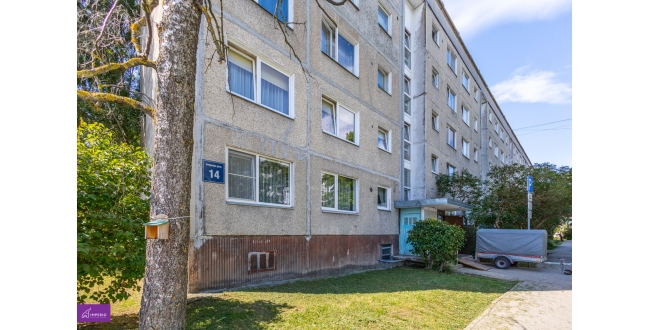 Rīga, Purvciems, Zvaigznāja gatve