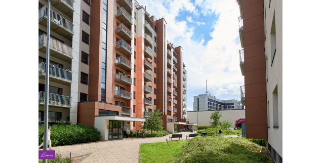 Rīga, Teika, Ropažu