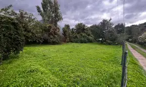 Lielvārdes nov., Lielvārde, Individuālais augļu dārzs