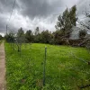 Lielvārdes nov., Lielvārde, Individuālais augļu dārzs