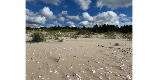 Talsu nov., Kolkas pag., Lunmegi