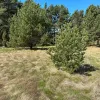 Talsu nov., Kolkas pag., Lunmegi