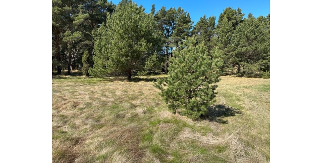 Talsu nov., Kolkas pag., Lunmegi