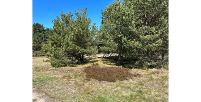 Talsu nov., Kolkas pag., Lunmegi