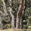 Talsu nov., Kolkas pag., Lunmegi