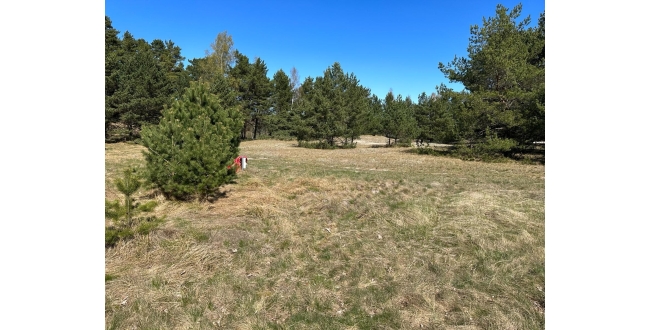 Talsu nov., Kolkas pag., Lunmegi