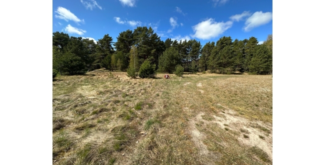 Talsu nov., Kolkas pag., Lunmegi